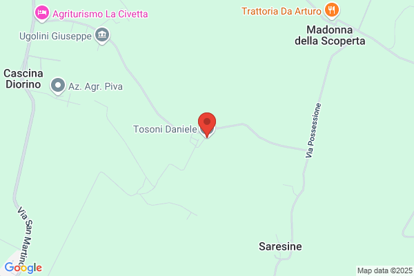 Tosoni vincenzo