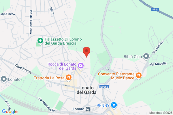 Forti Mauro