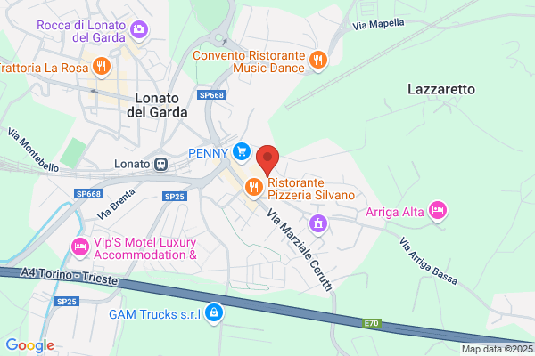 Maraviglia enrico