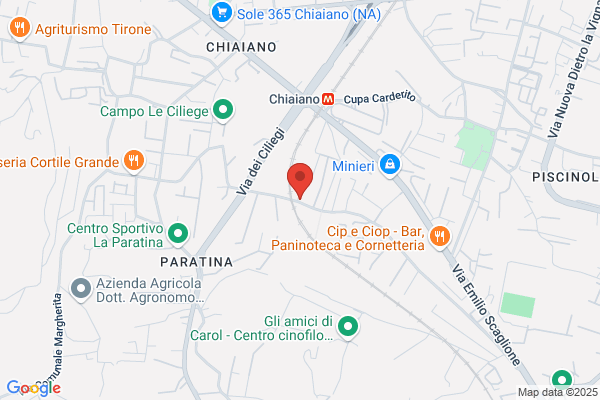 Festa Roberto