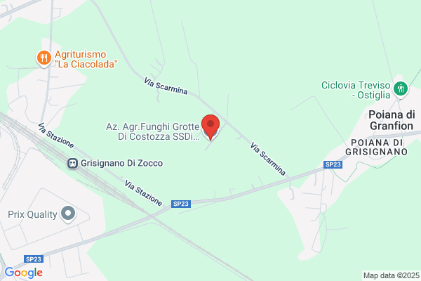 Funghi Di Costozza Di Rigoni Andrea