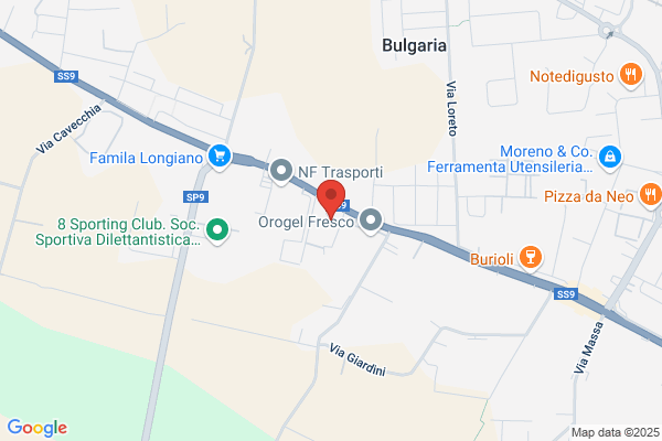 Loca Top Cesena
