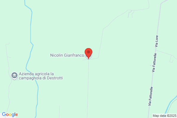 Nicolin gianfranco