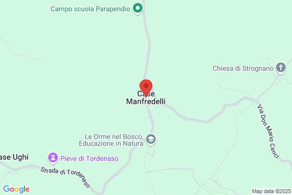 Manfredelli domenico