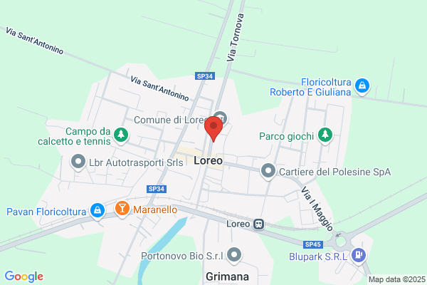 Grandi Sandro