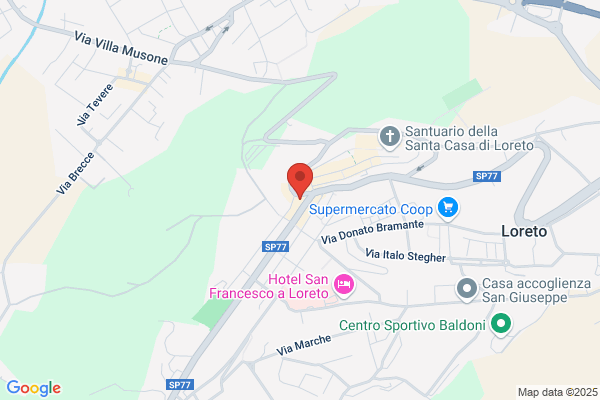 Fiori E Piante Di Lidia