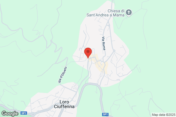 Finital Assicurazioni (S.P.A.)