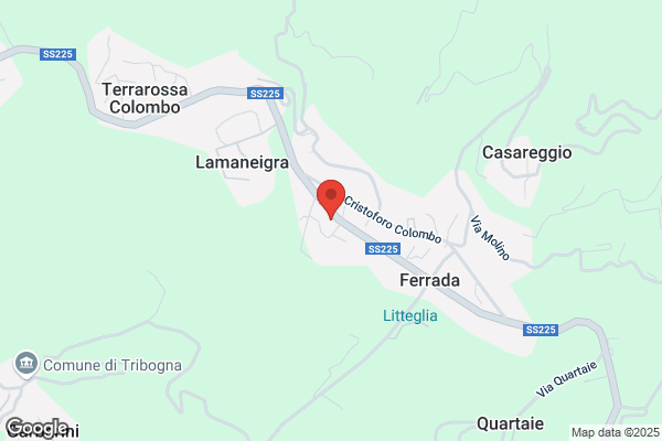 Farmacia De Ferrada Dr. P. Michelotti Pietro (Dr.)
