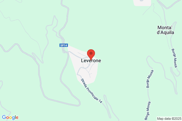 Leverone adriano