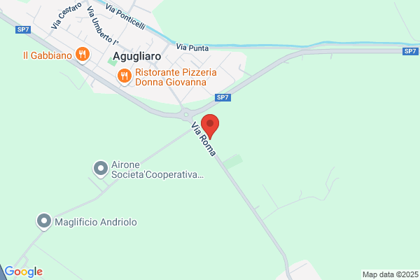 Bisello Movimento Terra