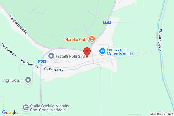Mion F.Lli Di Mion Paolo & C. (S.N.C.)