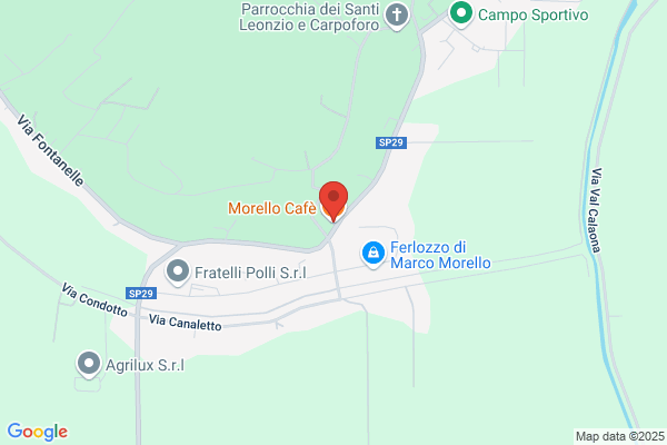 Morello giacinto
