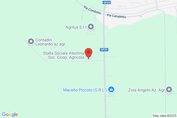 Pivato antonio
