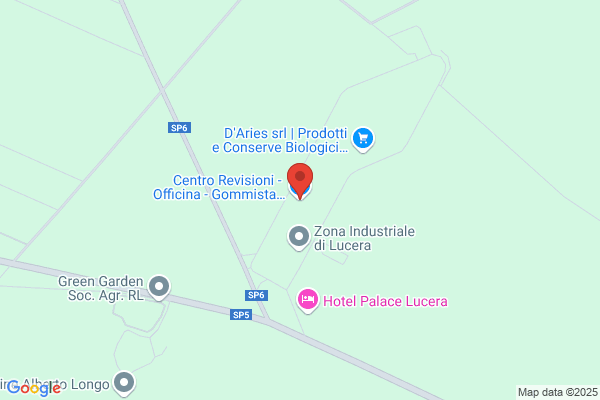 Car Service Capozzo