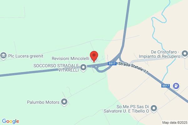 Revisioni Mincolelli