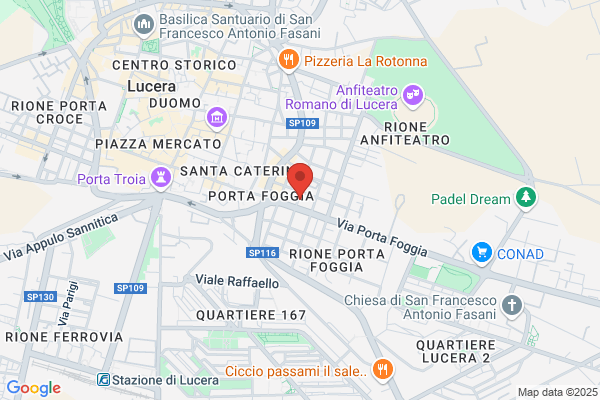 Professione Informatica Di Ricci Pasquale