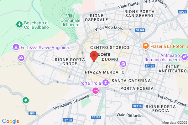 Palumbo erminio (Dr.)