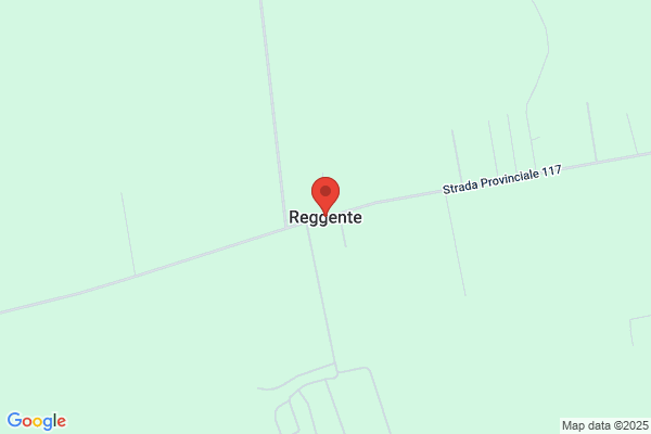Reggente S.P.A.