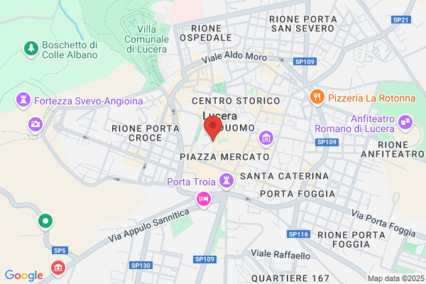 Ristorante La Cantina Del Pozzo (S.N.C.)
