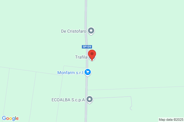 Trafilcoop Societa'
