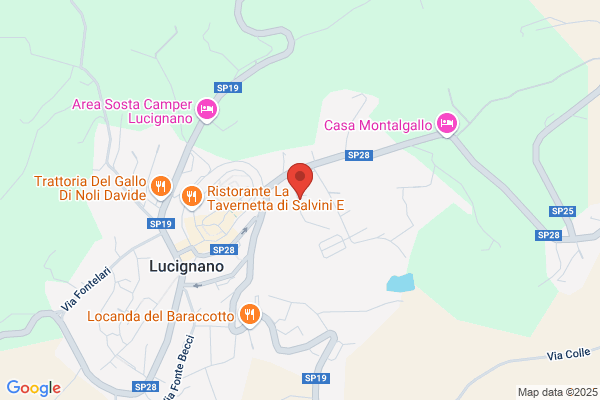 Cipresso e Pietra