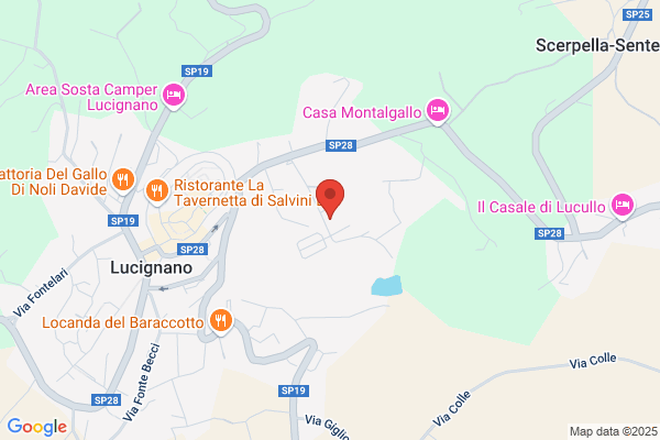 Frappi Claudio