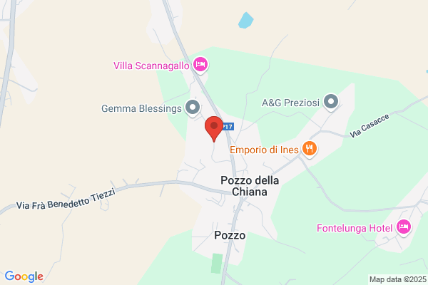 Grace Furs Di Nocenti Claudia Sas