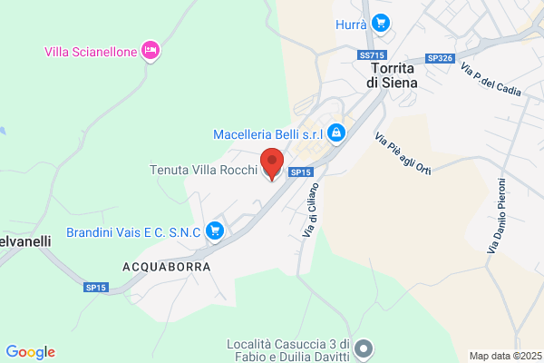 Rocchi alessandro