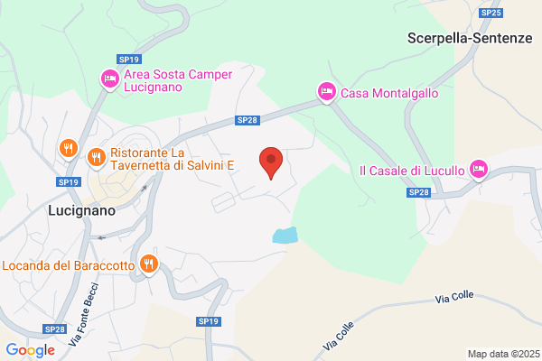 Scarpelli patrizia
