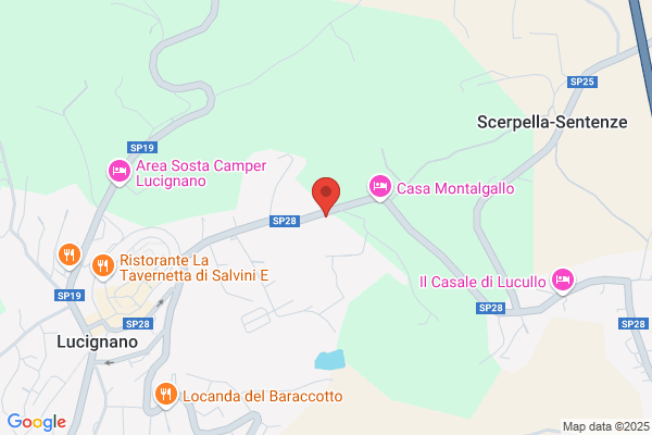 Suore Terziane Francescane Regolari Ognisanti