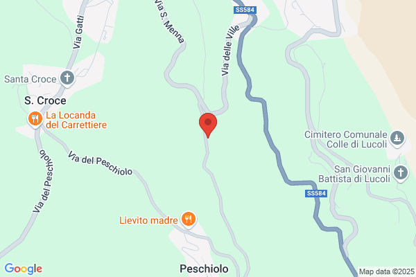 Masciocchi F.Lli (S.N.C.)