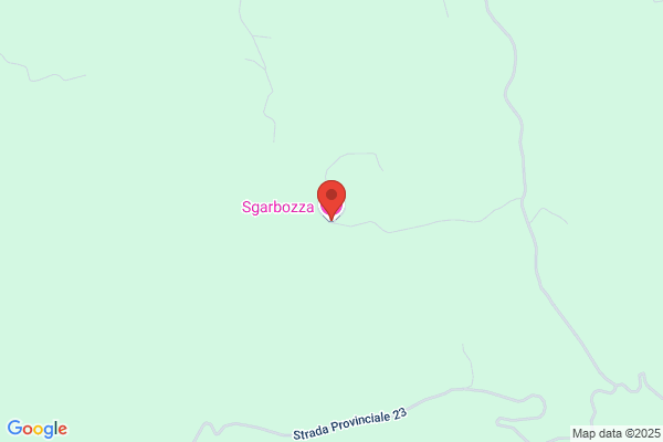 Trasburgo sergio