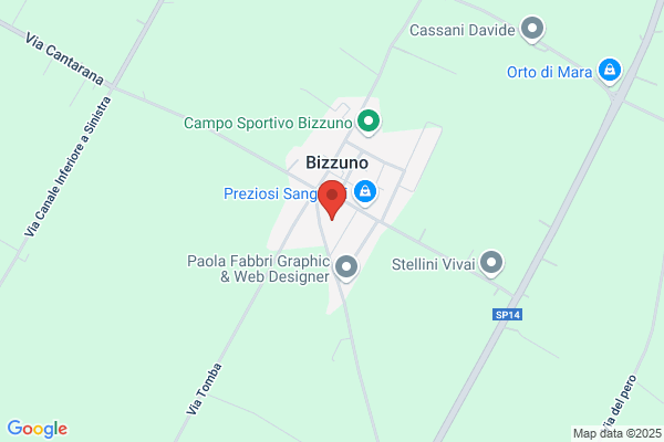 Vespignani franco