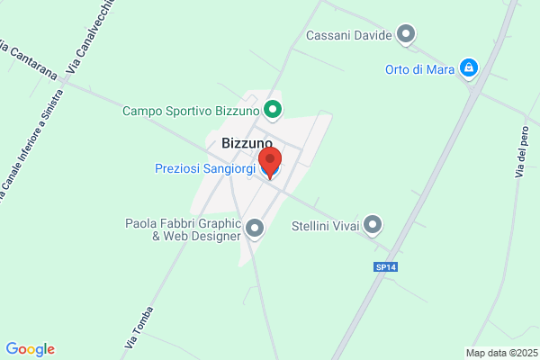 Preziosi Sangiorgi Di Sangiorgi Lara E Stefania S.R.L.