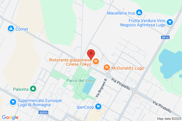 Stoppani alessandro