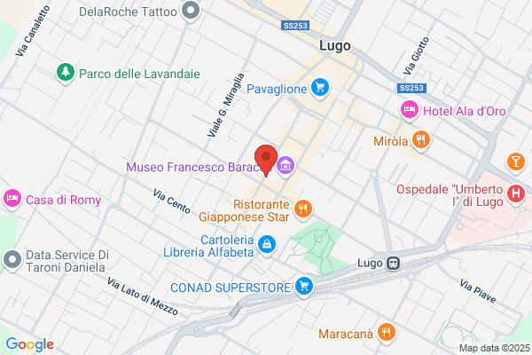 Torelli donatella