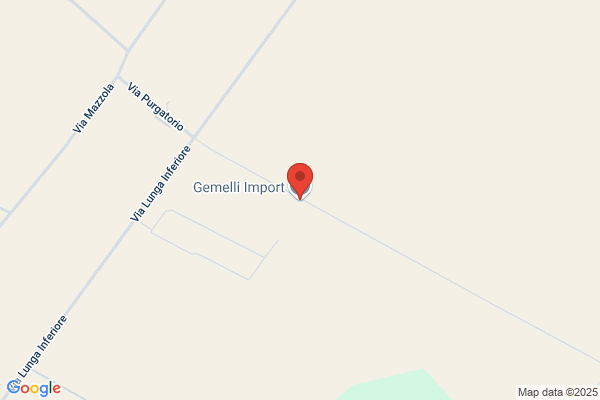 Gemelli Ivan