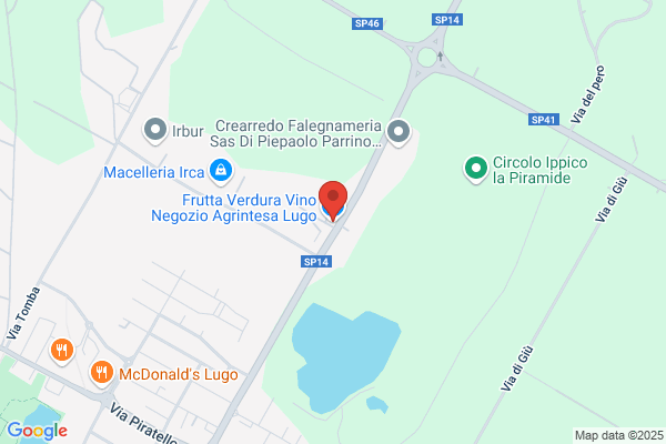 Ortofrutta Romagnola Srl