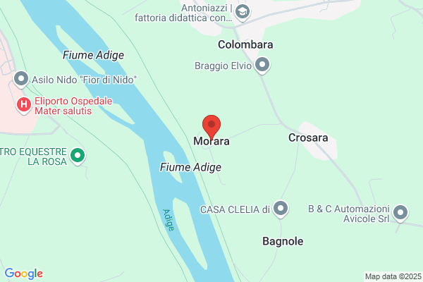 Morara remo