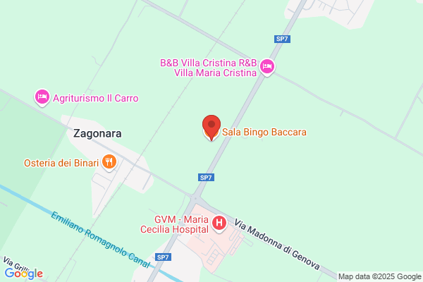 Bingo Baccara