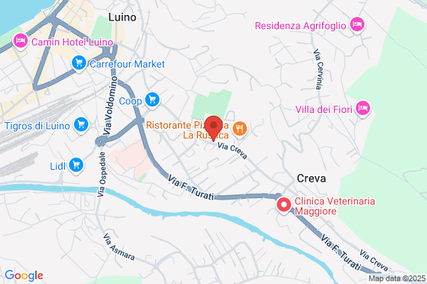 Minazzi silvano