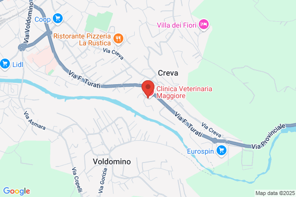 Clinica Veterinaria Maggiore