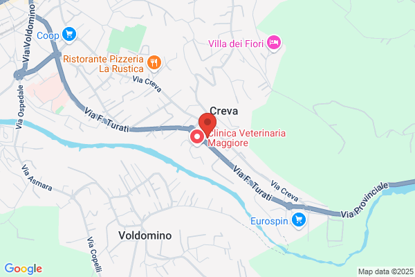 Testa Giovanni