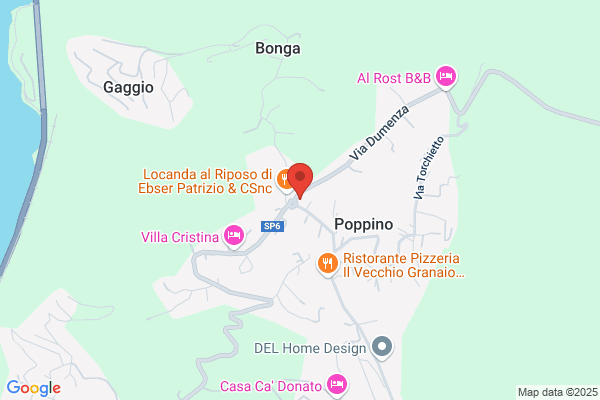 Matteazzi dino