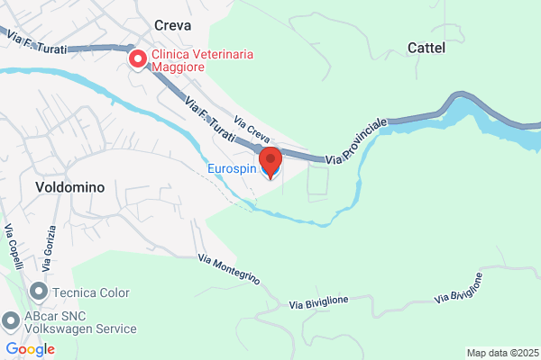 Artemi Spirovac Srl