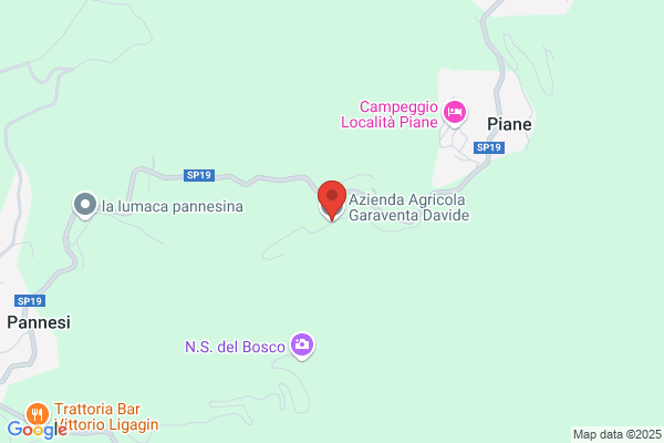 Giancaterino Nicola