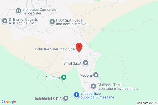 Saleri damiano