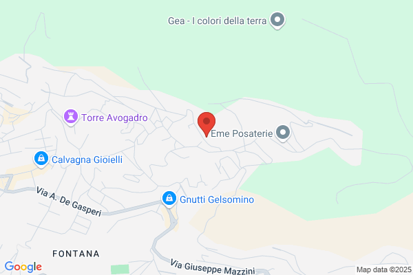 Toninelli maria