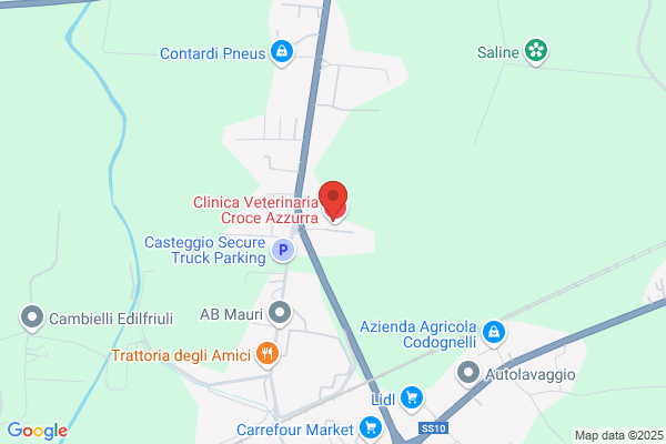 Clinica Veterinaria Croce Azzurra