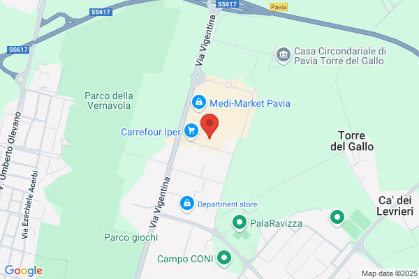 Motivi Di Cevini Mary